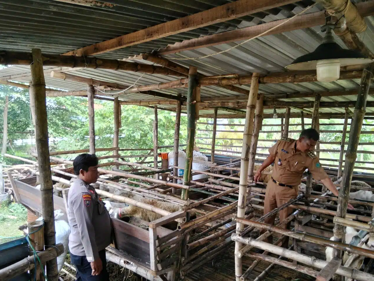 Kanit Binmas Polsek Prambon Tinjau Peternakan Kambing Dukung Program Ketahanan Pangan