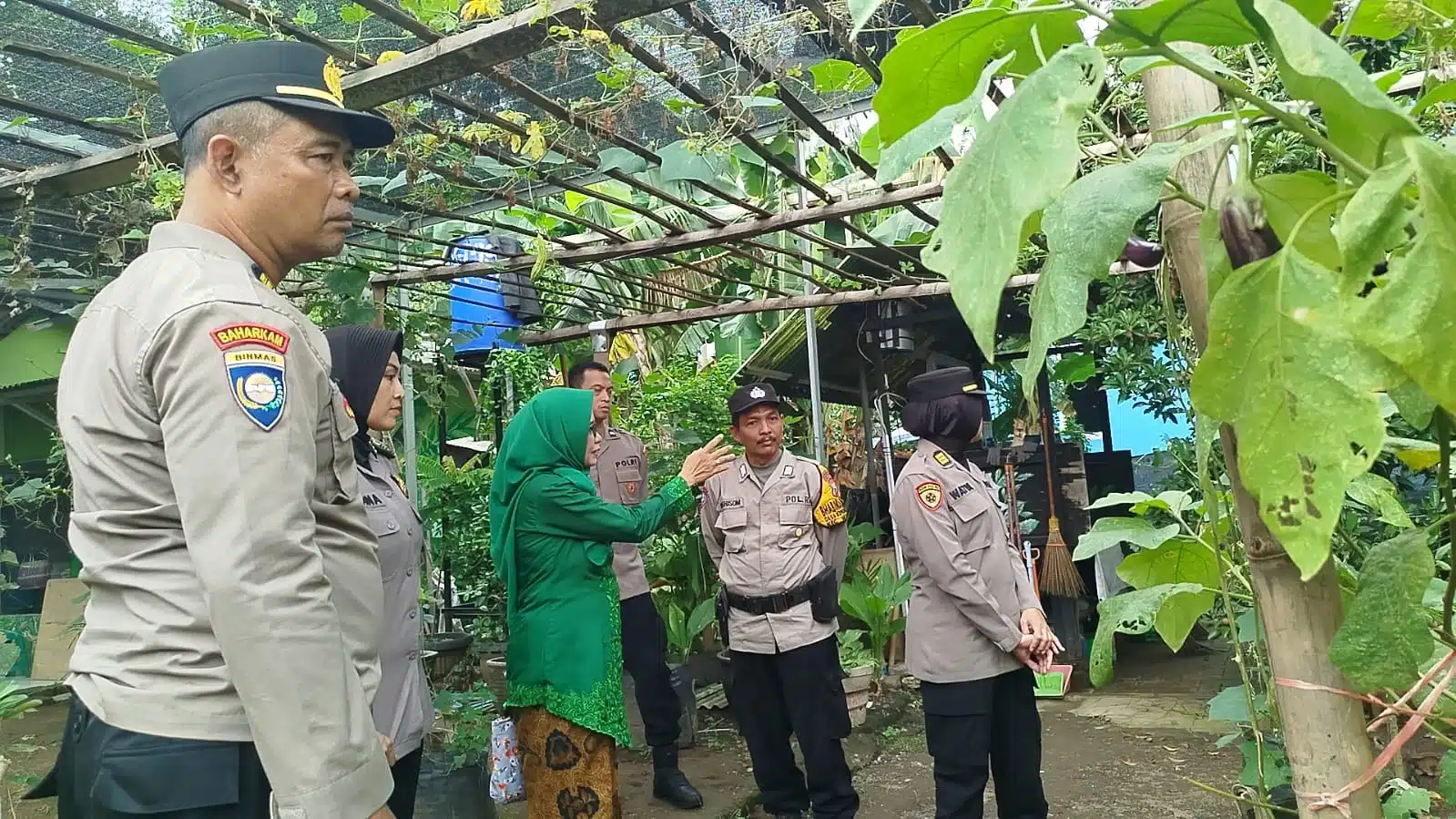 Bhabinkamtibmas Kepuh Kiriman Dampingi Ibu PKK Kelola Tanaman Terong, Dukung Ketahanan Pangan Desa