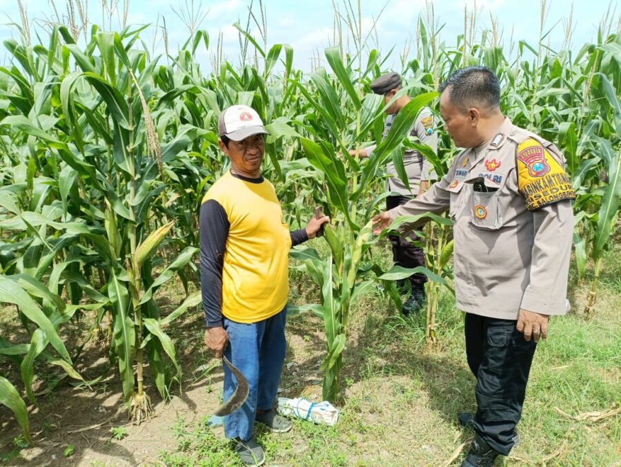 Polsek Balongbendo Cek Ketahanan Pangan di Pekarangan Warga Seduri