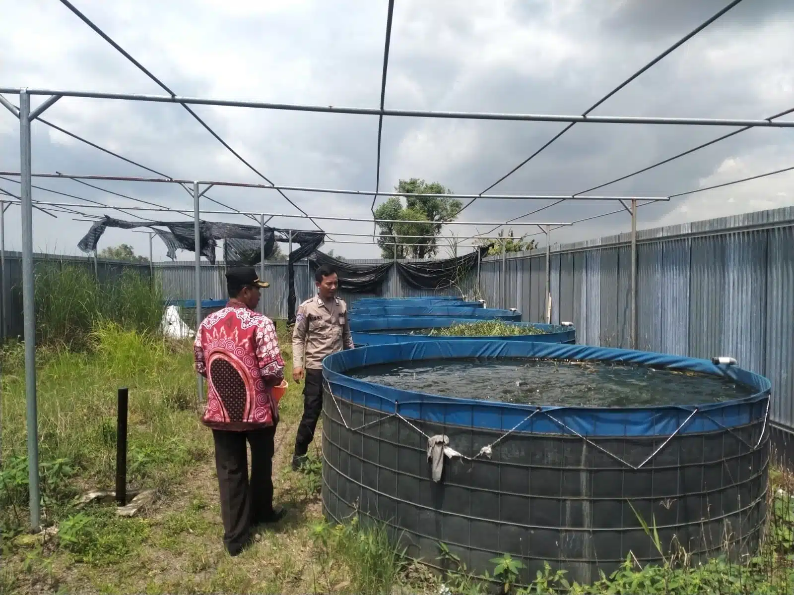Bhabinkamtibmas Bersama Perangkat Desa Ganting Tinjau Program Ketahanan Pangan Budidaya Lele Bioflok