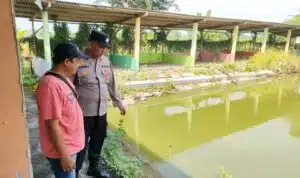 Polsek Sukodono Dampingi Pembudidaya Ikan Lele Ketahanan Pangan di Desa Pademonegoro