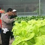 Bhabinkamtibmas Apresiasi Green House Hortikultura Warga Desa Kletek, Dukung Ketahanan Pangan