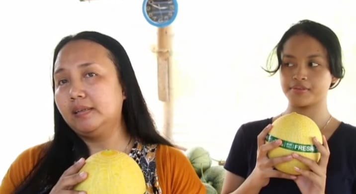 Pembeli melon premium 