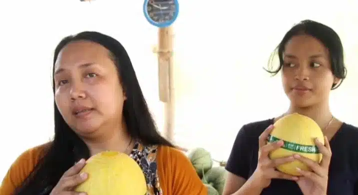 Pembeli melon premium 