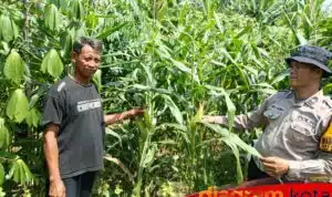 Polres Sidoarjo Dukung Ketahanan Pangan Melalui Program Pekarangan Pangan Bergizi