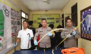 Empat Remaja Diamankan Polres Pelabuhan Tanjung Perak Usai Tawuran, Temukan Sajam hingga Busur Panah