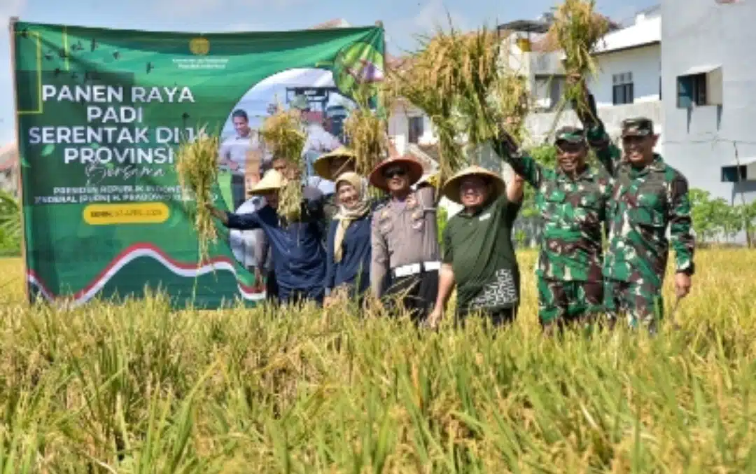 Surabaya Panen Padi Serentak Dukung Swasembada