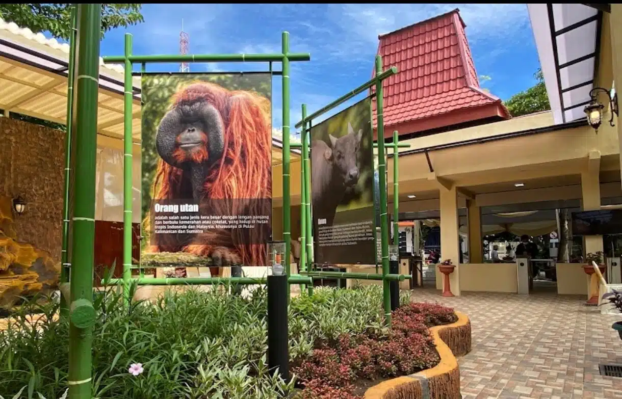 KBS Kebun Binatang Surabaya