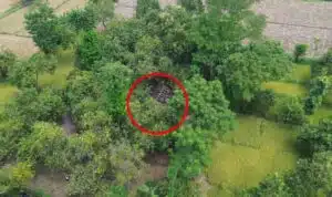 Patroli Drone, Polres Pasuruan Kota Berhasil Identifikasi dan Bongkar Lokasi Sabung Ayam