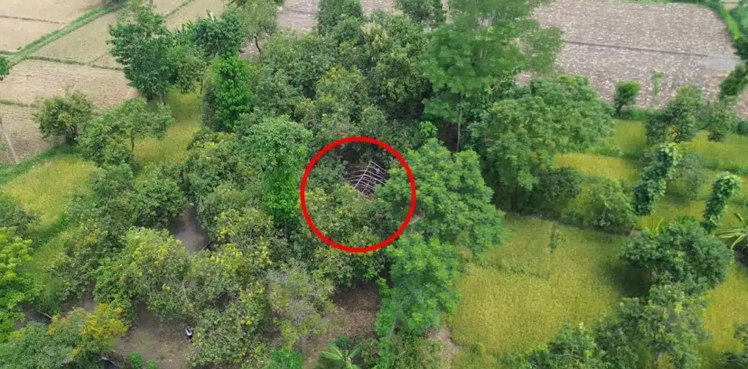 Patroli Drone, Polres Pasuruan Kota Berhasil Identifikasi dan Bongkar Lokasi Sabung Ayam