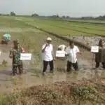Tiga Pilar di Sidoarjo Kompak Dukung Ketahanan Pangan Nasional Lewat Penanaman Padi Serentak