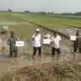Tiga Pilar di Sidoarjo Kompak Dukung Ketahanan Pangan Nasional Lewat Penanaman Padi Serentak