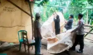Polisi Bongkar Arena Perjudian Sabung Ayam di Ngronggot Nganjuk