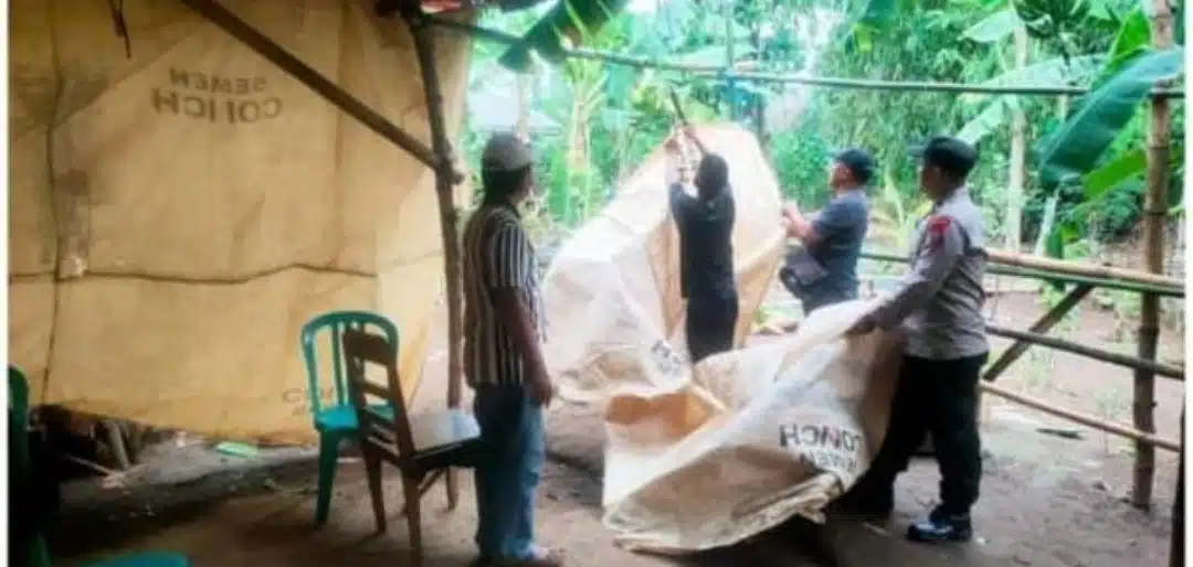Polisi Bongkar Arena Perjudian Sabung Ayam di Ngronggot Nganjuk