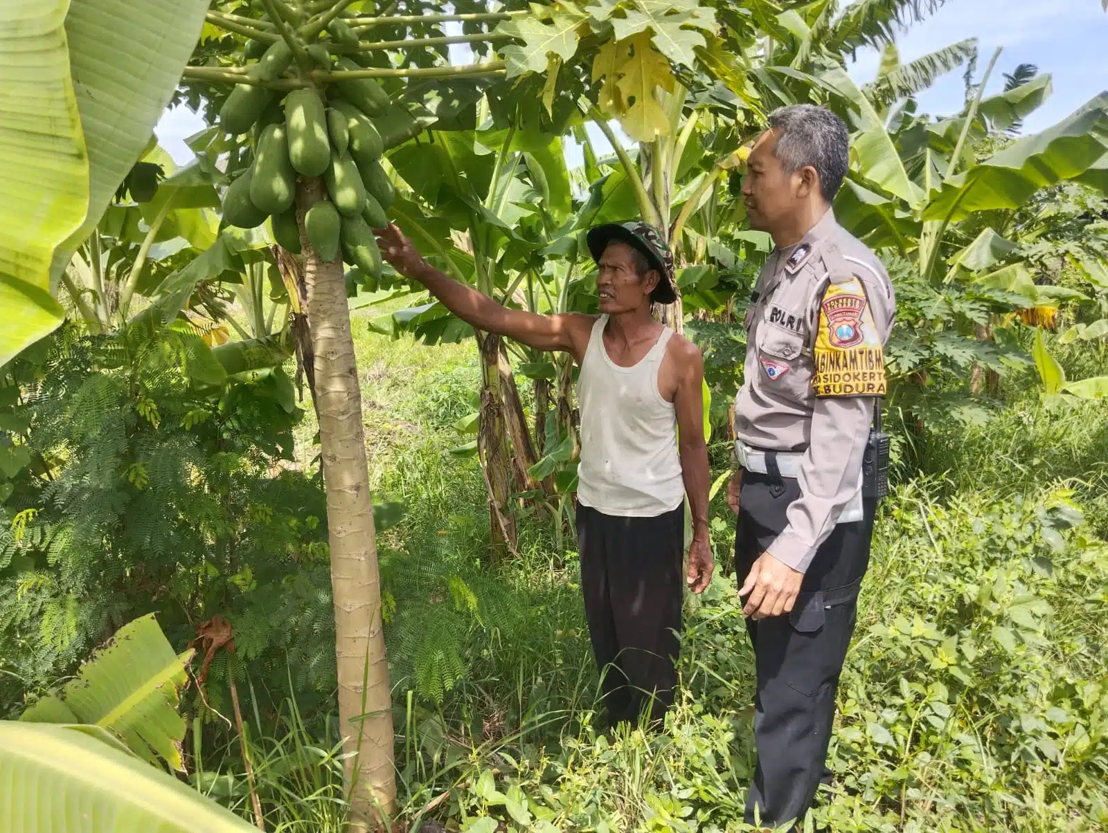 Bhabinkamtibmas Sidokerto Himbau Warga Rawat Tanaman Pisang Dukung Ketahanan Pangan