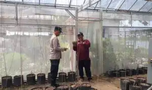 Bhabinkamtibmas Desa Kalanganyar Tinjau Lahan Ketahanan Pangan untuk Budidaya Melon