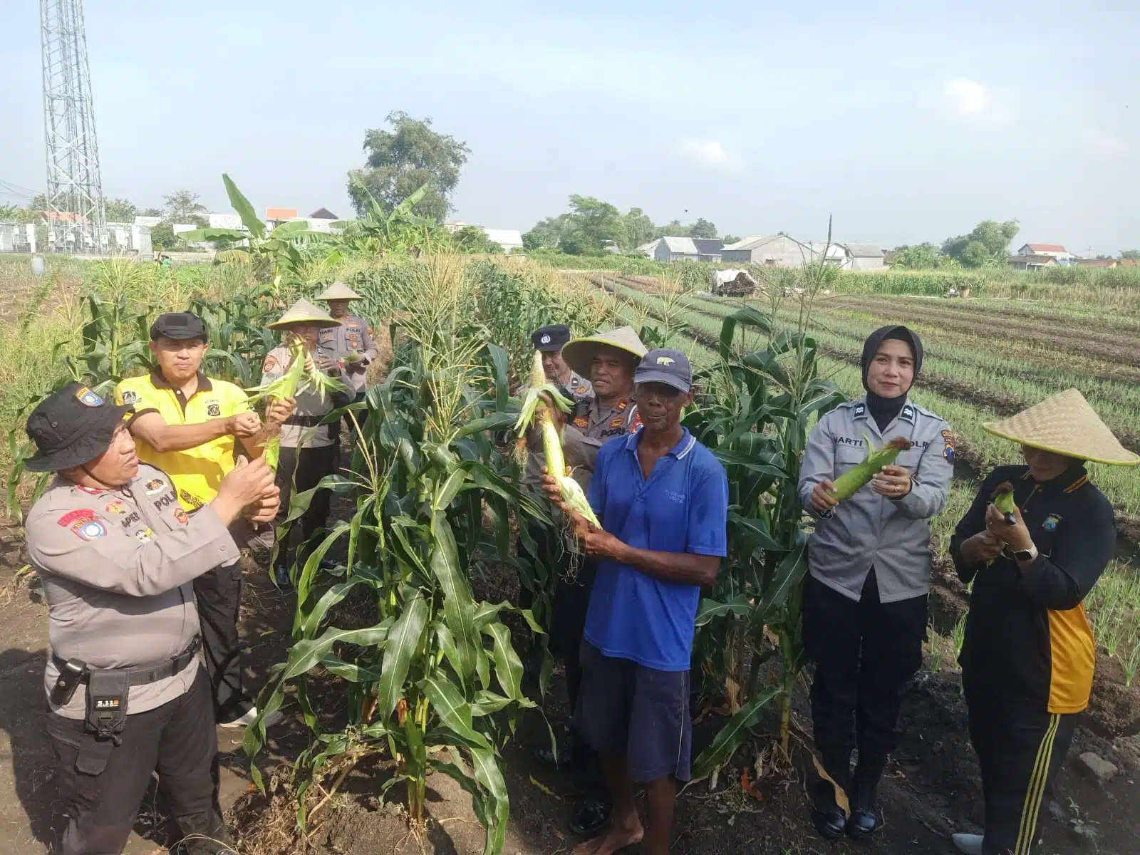 Polsek Krian Apresiasi Program Ketahanan Pangan Pertanian Jagung