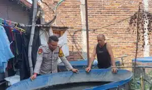 Dukung Ketahanan Pangan, Warga Bligo Manfaatkan Pekarangan Rumah untuk Budidaya Ikan