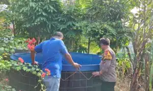 Langkah Ketahanan Pangan, Warga Desa Putat Manfaatkan Lahan Kosong untuk Kolam Bioflok Pembesaran Lele