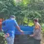 Langkah Ketahanan Pangan, Warga Desa Putat Manfaatkan Lahan Kosong untuk Kolam Bioflok Pembesaran Lele