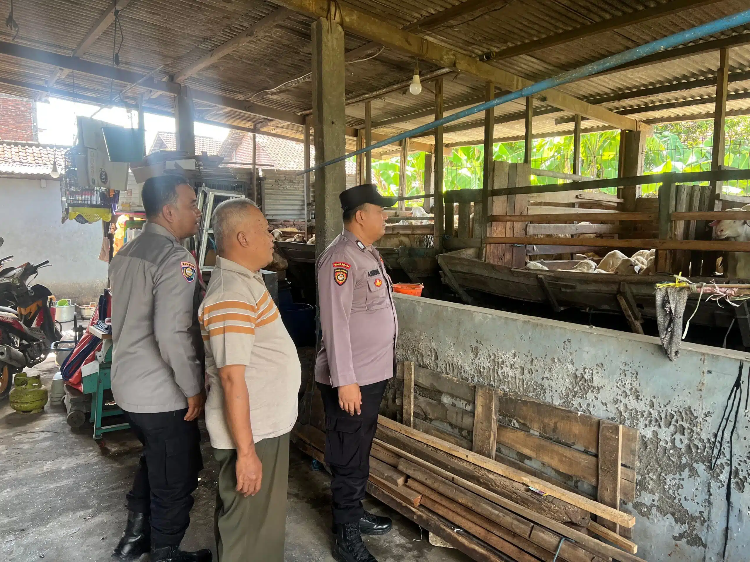 Anggota Polsek Sukodono Cek Ketahanan Pangan di Peternakan Kambing Desa Pademonegoro