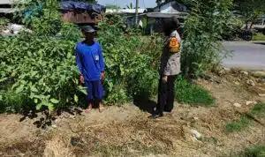 Bhabinkamtibmas Kedungpandan Tinjau Lahan Sayuran Untuk Tunjang Ketahanan Pangan