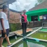 Bhabinkamtibmas Juwetkenongo Polsek Porong Tinjau Program Ketahanan Pangan Lewat Budidaya Ikan Nila