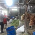 IMG 20250508 WA0032