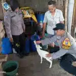 Kapolsek Gedangan Apresiasi Solidnya Sinergitas Desa Kragan dalam Dukung Ketahanan Pangan