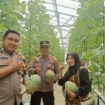 IMG 20250510 WA0033
