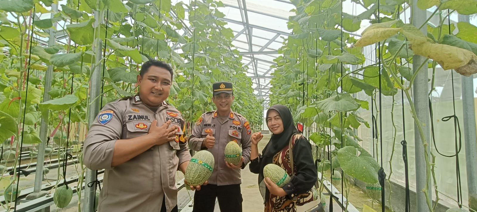 IMG 20250510 WA0033