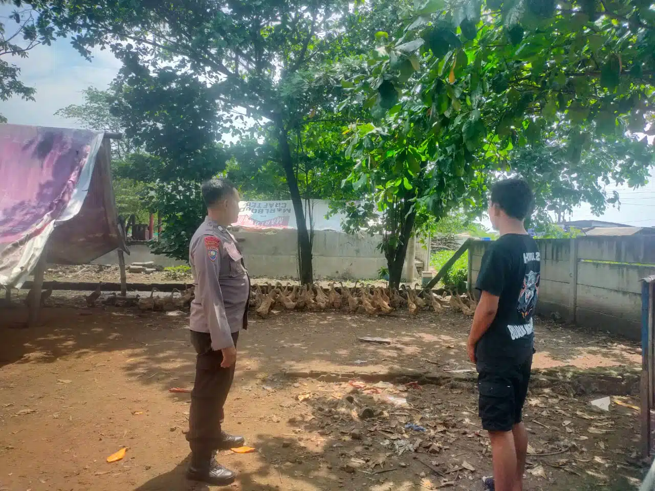 Cek Peternakan Bebek, Bhabinkamtibmas Desa Glagaharum Turun Langsung Sukseskan Ketahanan Pangan