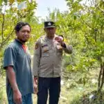 Bhabinkamtibmas Polsek Sidoarjo Kota Tinjau Lahan Jambu untuk Dukung Ketahanan Pangan