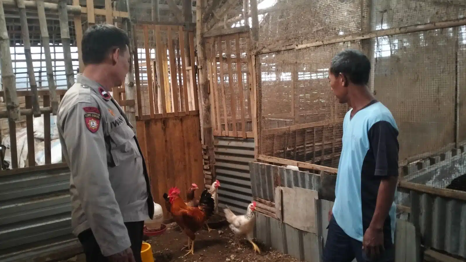 Polsek Krian Dampingi Warga Kembangkan Peternakan Ayam Wujudkan Ketahanan Pangan 