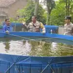 Kapolsek Porong Polresta Sidoarjo Tinjau Program Ketahanan Pangan Budidaya Ikan Nila Sistem Bioflok