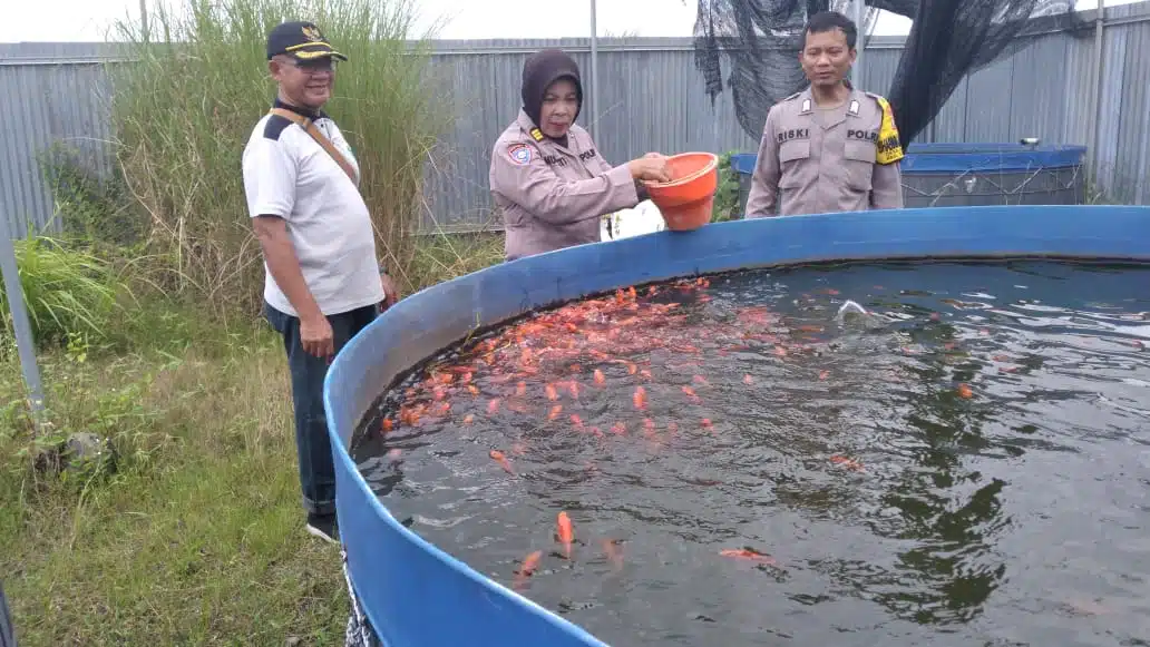 Kanit Binmas Polsek Gedangan Apresiasi Perkembangan Ikan Nila Merah di Kolam Bioflok Desa Ganting