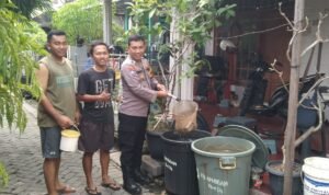 Bhabinkamtibmas Sidokumpul Tinjau Program Ketahanan Pangan Budidaya Ikan Lele