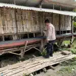 Polsek Krembung Dampingi Peternak Kambing di Desa Rejeni, Dukung Ketahanan Pangan Bergizi P2B