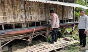 Polsek Krembung Dampingi Peternak Kambing di Desa Rejeni, Dukung Ketahanan Pangan Bergizi P2B