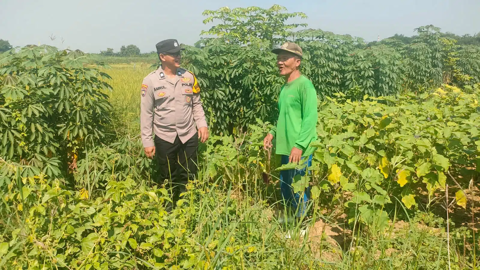 Polsek Krembung Gencarkan Program Ketahanan Pangan di Desa Tanjekwager