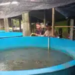 Kapolsek Taman Dorong Optimalisasi Lahan Kosong untuk Swasembada Pangan 