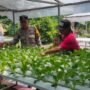 Polsek Candi Motivasi Ketahanan Pangan Lewat Sayur Hidroponik di Desa Gelam
