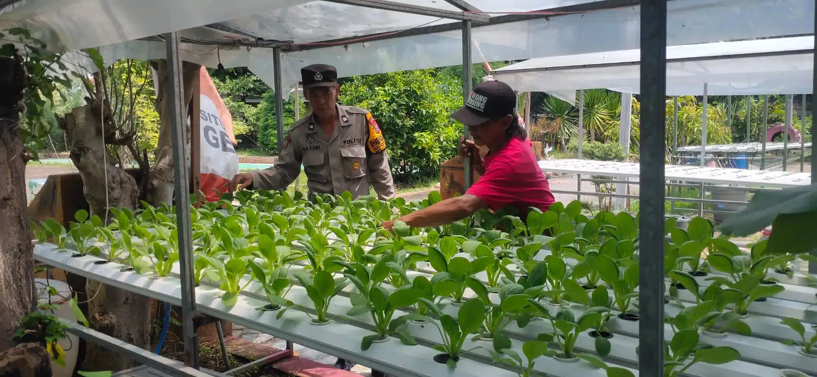 Polsek Candi Motivasi Ketahanan Pangan Lewat Sayur Hidroponik di Desa Gelam