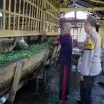 Dukung Ketahanan Pangan, Bhabinkamtibmas Desa Kemantren Polsek Tulangan Pantau Peternakan Kambing