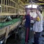 Dukung Ketahanan Pangan, Bhabinkamtibmas Desa Kemantren Polsek Tulangan Pantau Peternakan Kambing