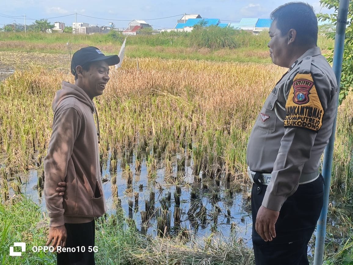 Bhabinkamtibmas Sukodono Turun Langsung Cek Ketahanan Pangan P2B di Desa Jumputrejo