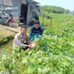 IMG 20250519 WA0019