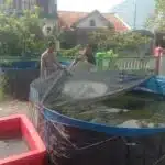 Polsek Sedati Aktif Dukung Ketahanan Pangan di Desa Pranti