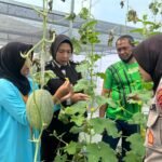 Bangkitkan Semangat Ketahanan Pangan ke Anggota, Polresta Sidoarjo Optimalkan Lahan P2L