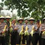 Berkontribusi pada Ketahanan Pangan, Lapas Porong Panen Jagung Manis